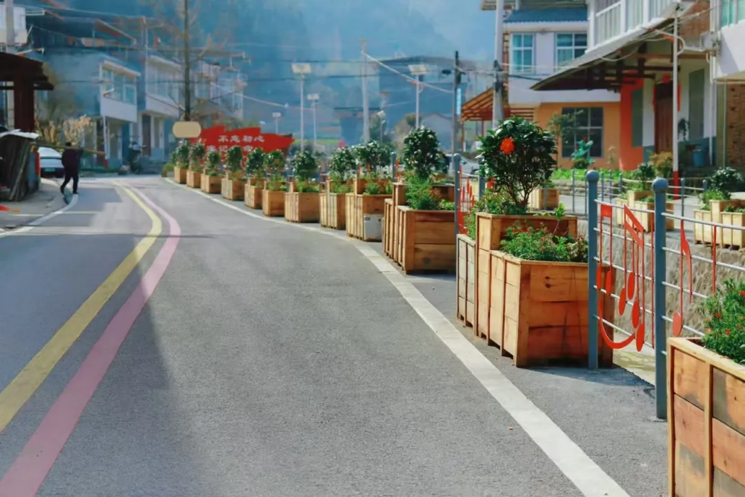 2025汉中镇巴春日盛宴，解锁油菜花海文旅新玩法！