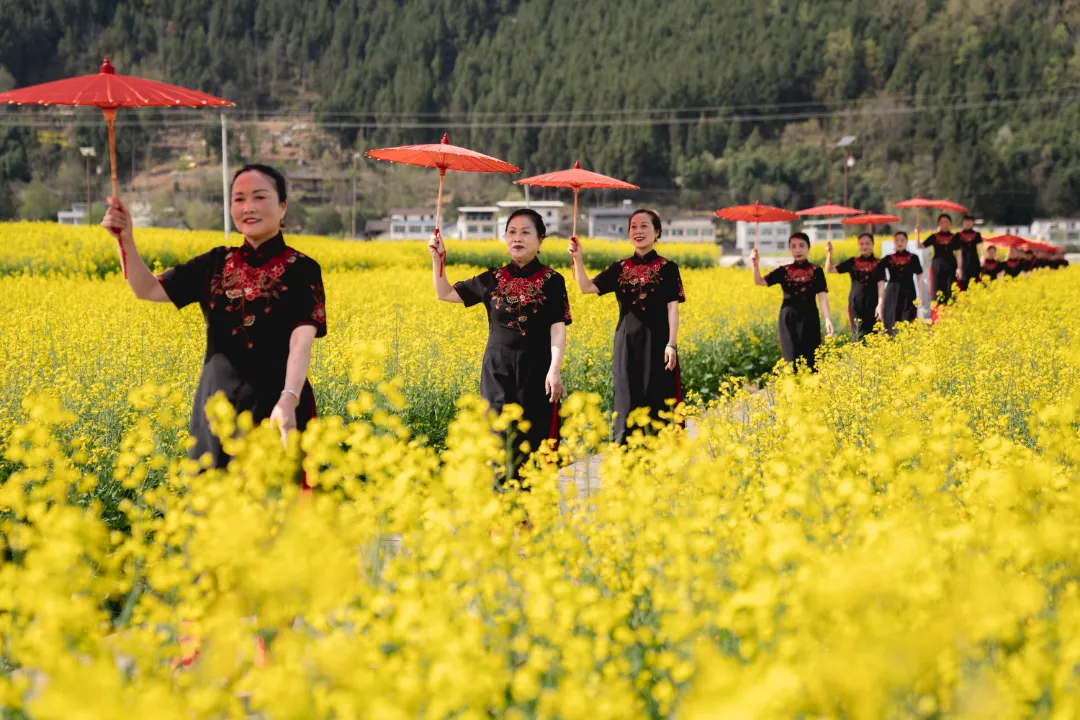 2025汉中镇巴春日盛宴，解锁油菜花海文旅新玩法！