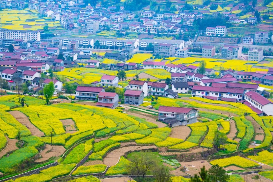 咩咩羊渔渡11 (11)_副本.jpg