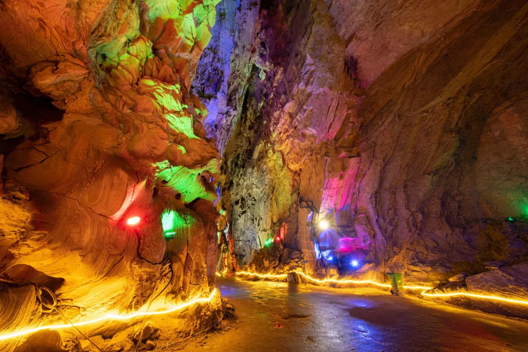 2025汉中镇巴春日盛宴，解锁油菜花海文旅新玩法！