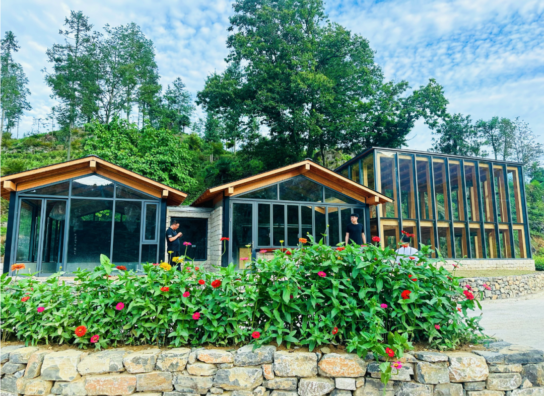 2025汉中镇巴春日盛宴，解锁油菜花海文旅新玩法！