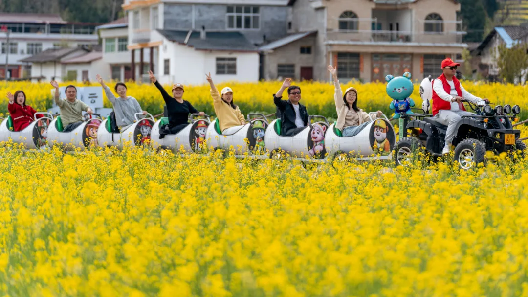 2025汉中镇巴春日盛宴，解锁油菜花海文旅新玩法！