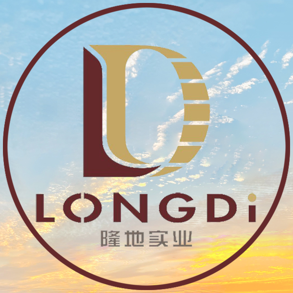 陕西隆地实业有限公司的图标